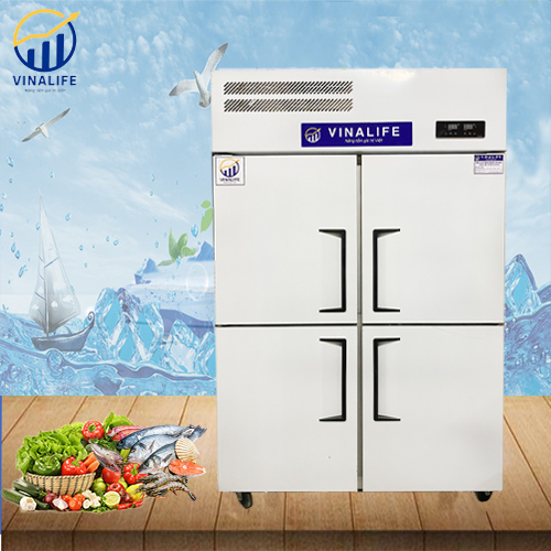 Tủ Đông Lạnh 2 Chế Độ 1000L